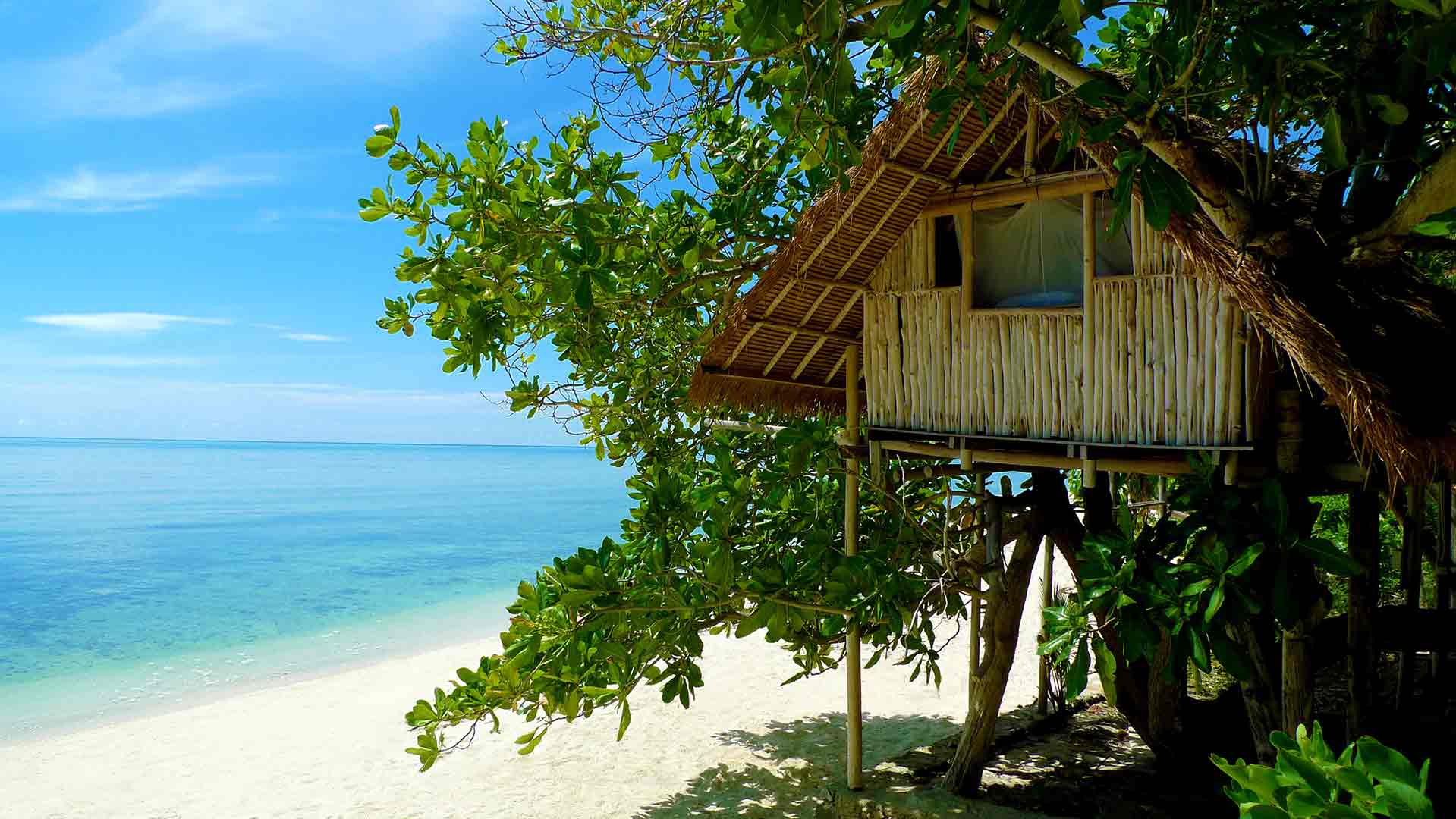 A tree house on a secluded beach